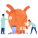 Interventional Cardiologist